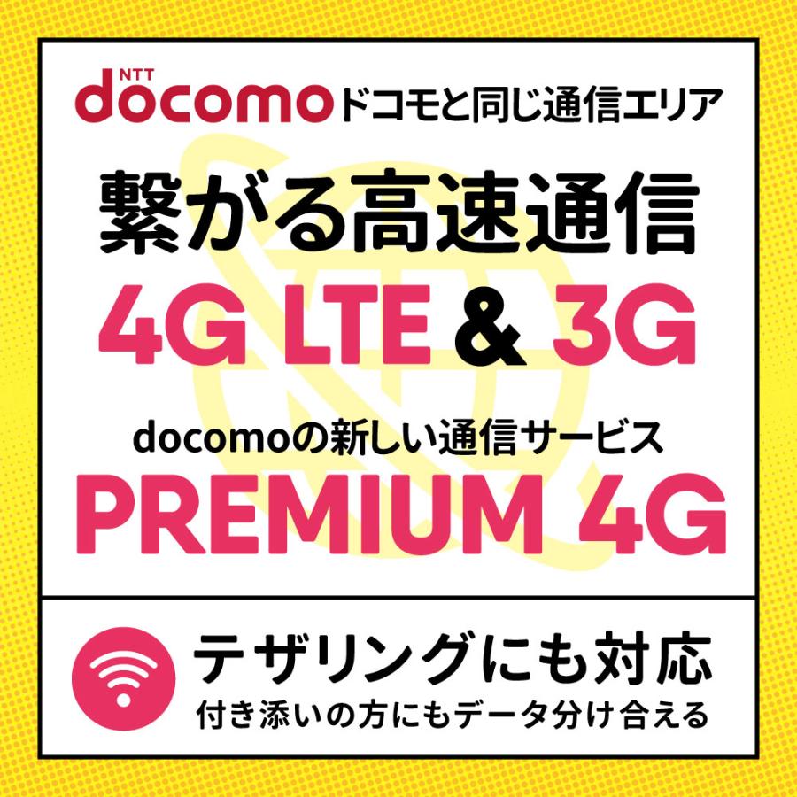 プリペイドSIMカード 360日100GBプラン[Mプラン] 期間内使い切りプラン 日本国内用 |  | 01