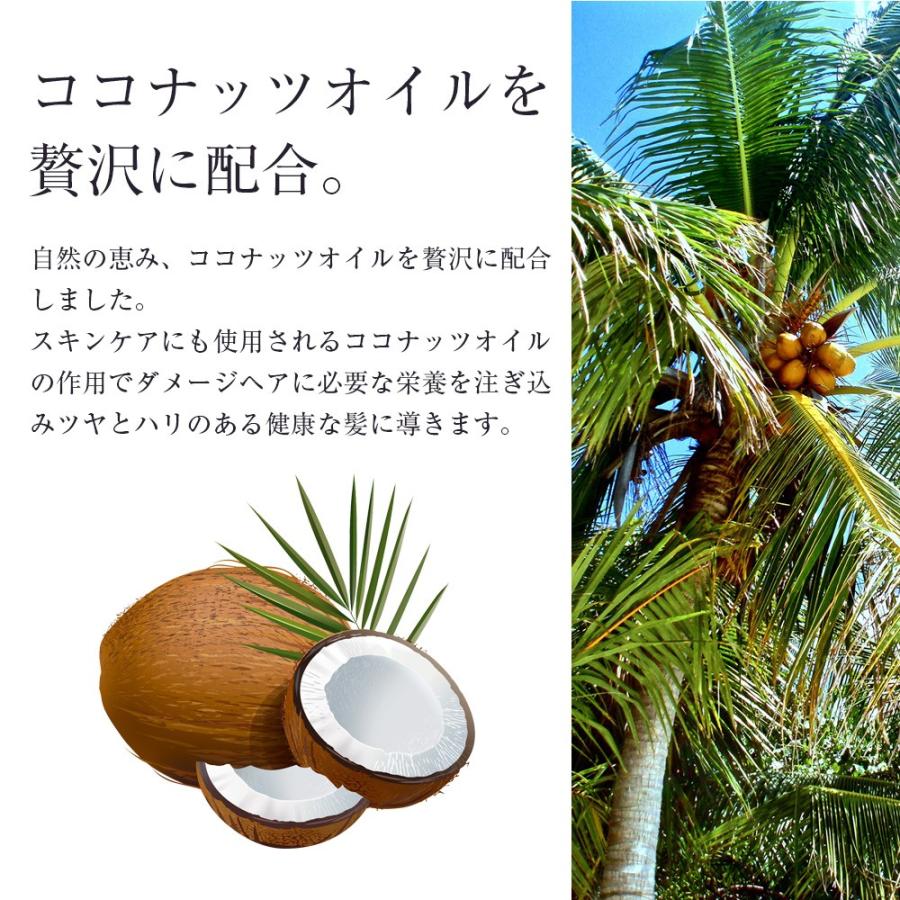 Douce ココナッツシャンプー&コンディショナー250mlセット : Calendar