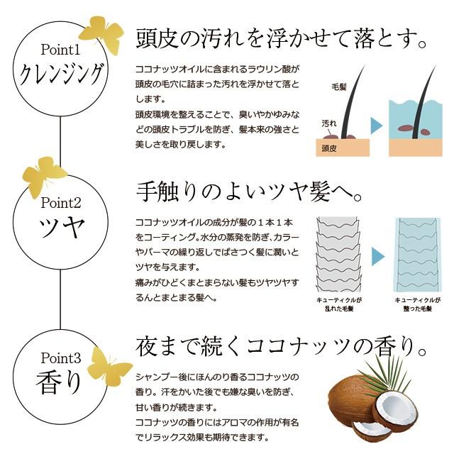Douce ココナッツシャンプー&コンディショナー500mlセット : Calendar