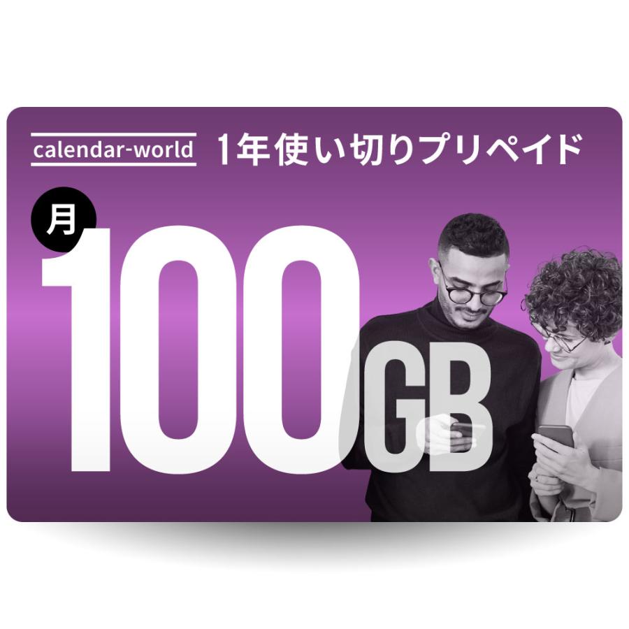 CALENDAR 1年プリペイドSIM 月間100GBプラン[楽天回線] : Calendar