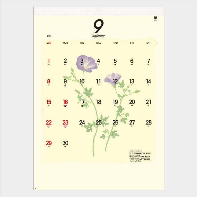 高評価続出！ 名入れカレンダー 2024 壁掛け AC-15 プレス・フラワー 100冊 【RIZ6933848355】(24288円)
