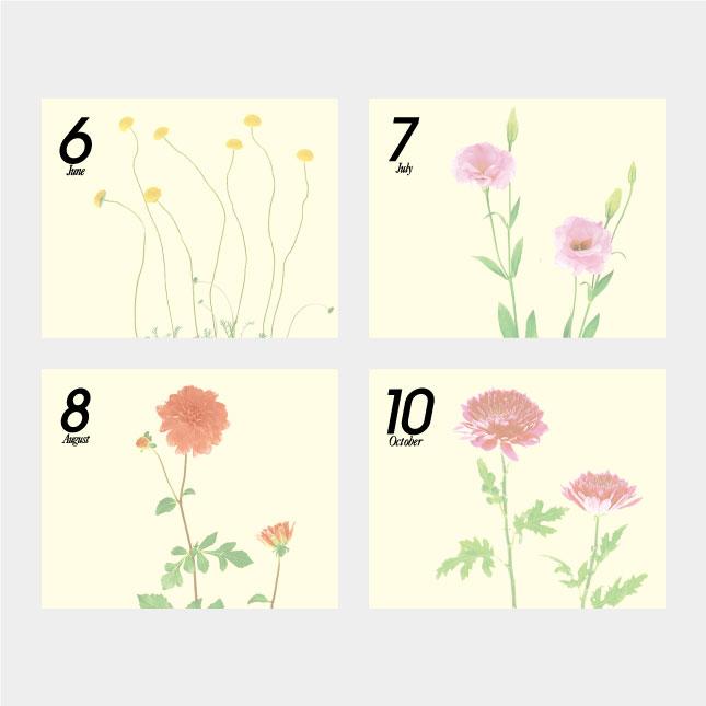 高評価続出！ 名入れカレンダー 2024 壁掛け AC-15 プレス・フラワー 100冊 【RIZ6933848355】(24288円)