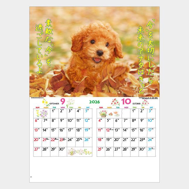 名入れカレンダー 2026 壁掛けIC-200H FOR YOU（フォー・ユー）100冊