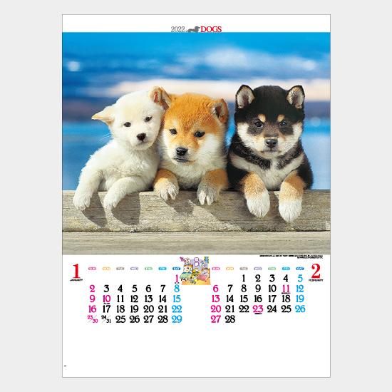 限定品 有名カメラマン達が撮影したこいぬのカレンダーです 100冊 かわいい犬 壁掛け名入れ 動物 ペットic 3 22 名入れカレンダー その他趣味