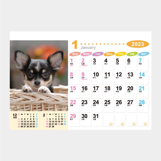 名入れカレンダー 2024 卓上 NZ-130 卓上 ラブリーフレンズ（犬・猫） 100冊 卓上