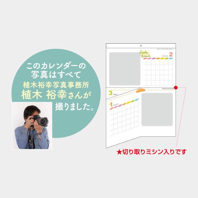 名入れカレンダー 2027 壁掛けXA-012　ラブリーフレンズ（犬・猫） 100冊_7