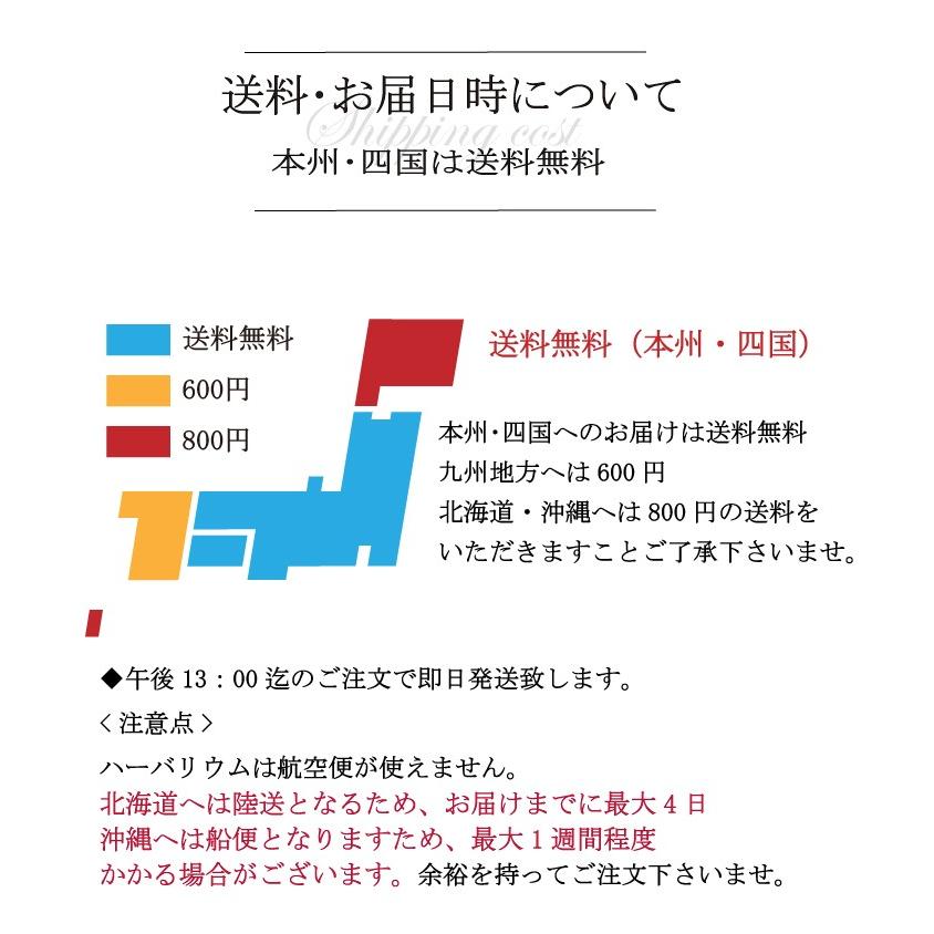 ハーバリウム ギフト 電報 結婚式 祝電 結婚式 電報 結婚式 花 結婚祝い プレゼント 結婚祝い 花 F127 プリザーブドフラワーかれんじゅら 通販 Yahoo ショッピング