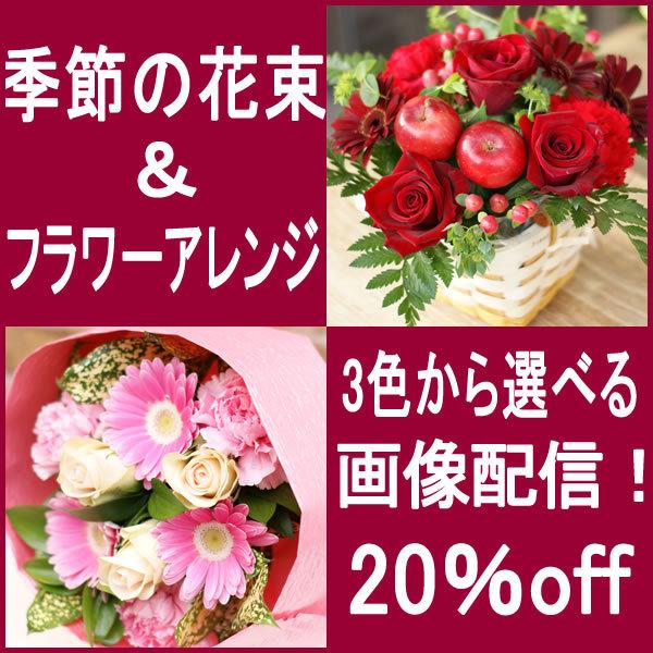 お祝い バレンタイン 卒業祝い 母の日 季節の花束＆フラワーアレンジメント
