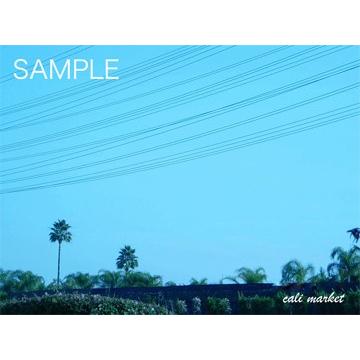 fromL.A.｜cali-market