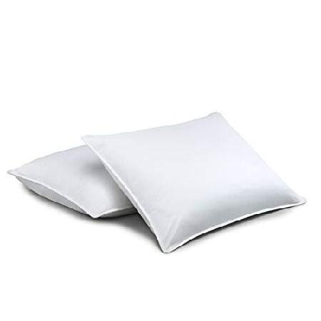 【スーパーセール】 標準Textile chamberloftダウン枕;のセット2 ホワイト並行輸入品 in.) (20x36 King 枕、ピロー