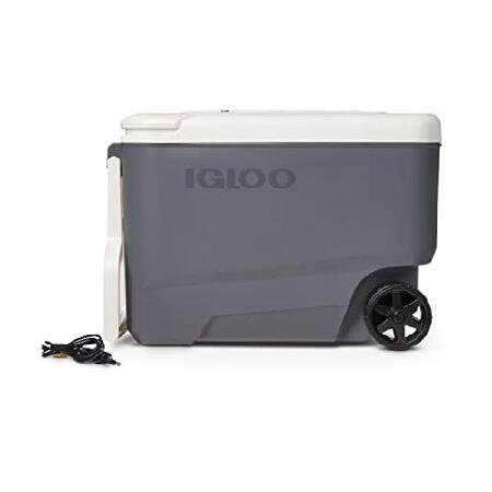 無料発送 Igloo 35 Qt Roller 並行輸入品 クーラーボックス Www Mobilite Fr Sodexo Com