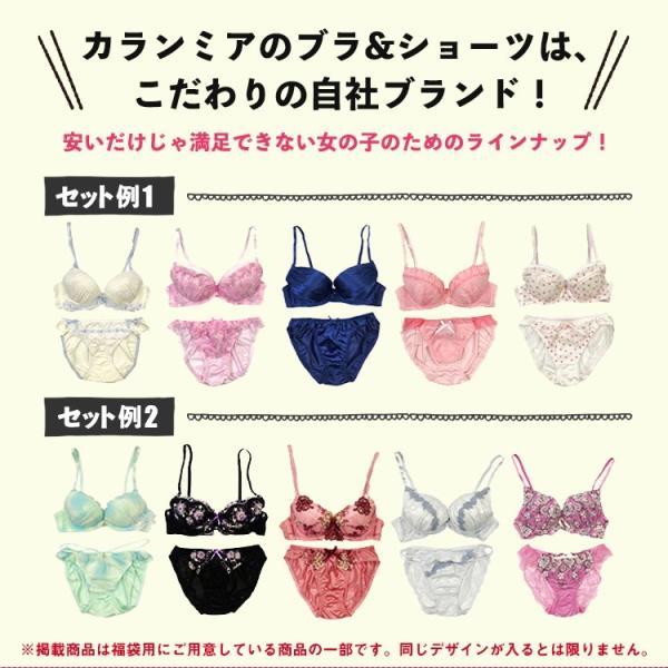 下着女性 上下セット 5組 福袋 ブラジャーショーツセットノンワイヤーブラ含む場合あり B~F レディース 下着 インナー ブラ＆ショーツセット セクシー かわいい｜calin-mia｜04