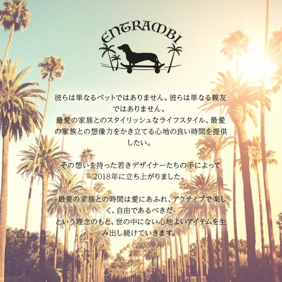 割引アウトレット ENTRAMBI ペットバッグ 犬 猫 キャリー 帆布 キャンバス コットン 小型犬 中型犬 軽量 撥水 お出かけ 日本企画