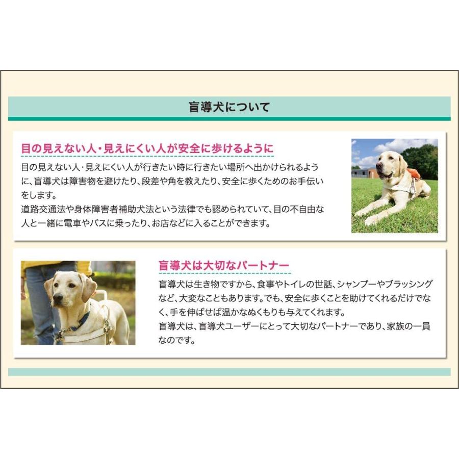 21年日本盲導犬協会チャリティーカレンダー 卓上タイプ ｋｙ 1 Calin1ヤフー店 通販 Yahoo ショッピング