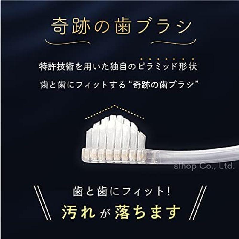 奇跡のオーラルケア 奇跡の歯ブラシ ふつう ピラミッド型 ターコイズブルー 3本 セット 2022110417391800051Calin1ヤフー店 通販 Yahoo!ショッピング