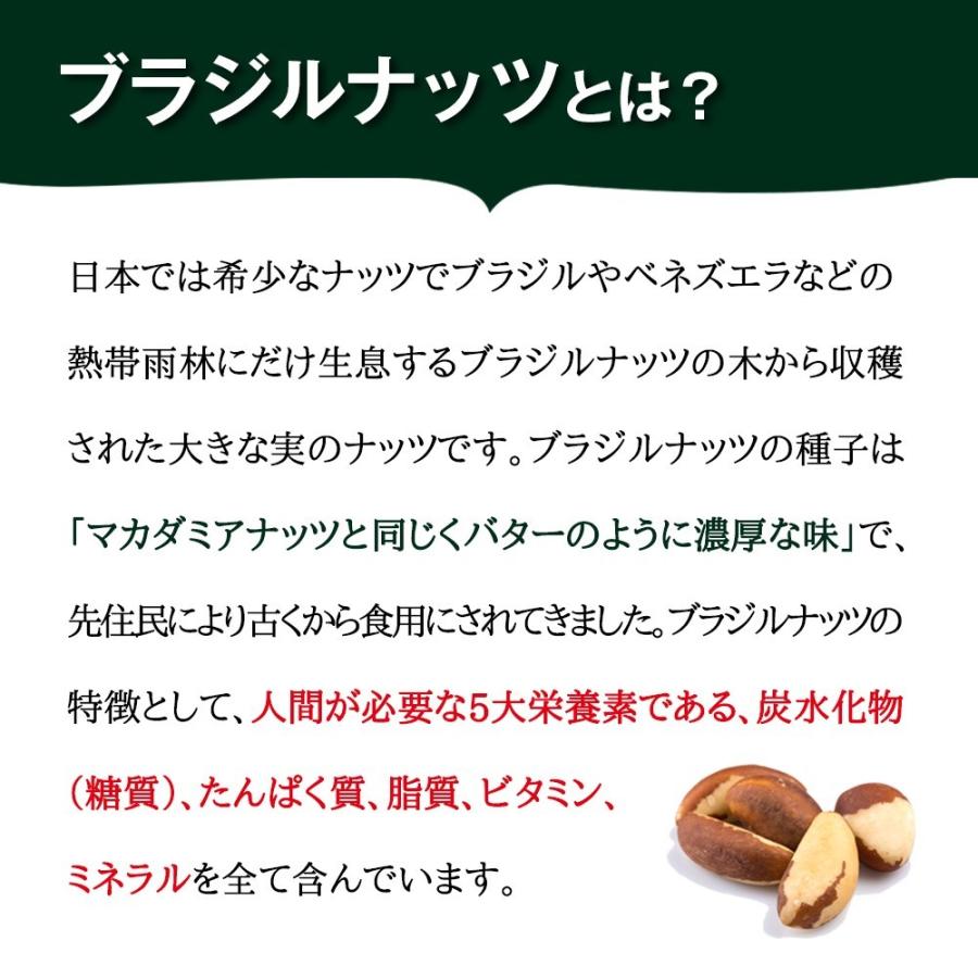 おつまみ ポイント消化 送料無料ブラジルナッツ 500g アマゾンのスーパーナッツ 産地直輸入 海外では有名な栄養価の高いナッツ チャク付き袋 工場直販 常備食 Bz 01 Daily Nuts Fruits 通販 Yahoo ショッピング