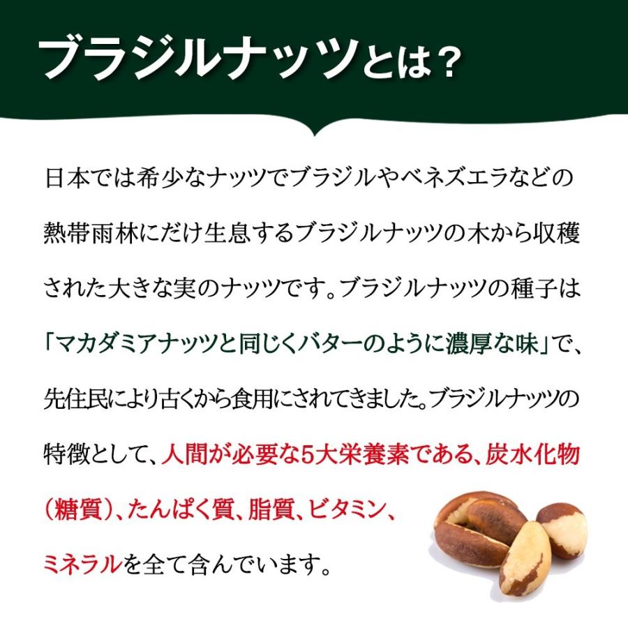 ブラジルナッツ 500g アマゾンのスーパーナッツ 産地直輸入 海外では有名な栄養価の高いナッツ！チャック付き袋 常備食｜calinuts｜03