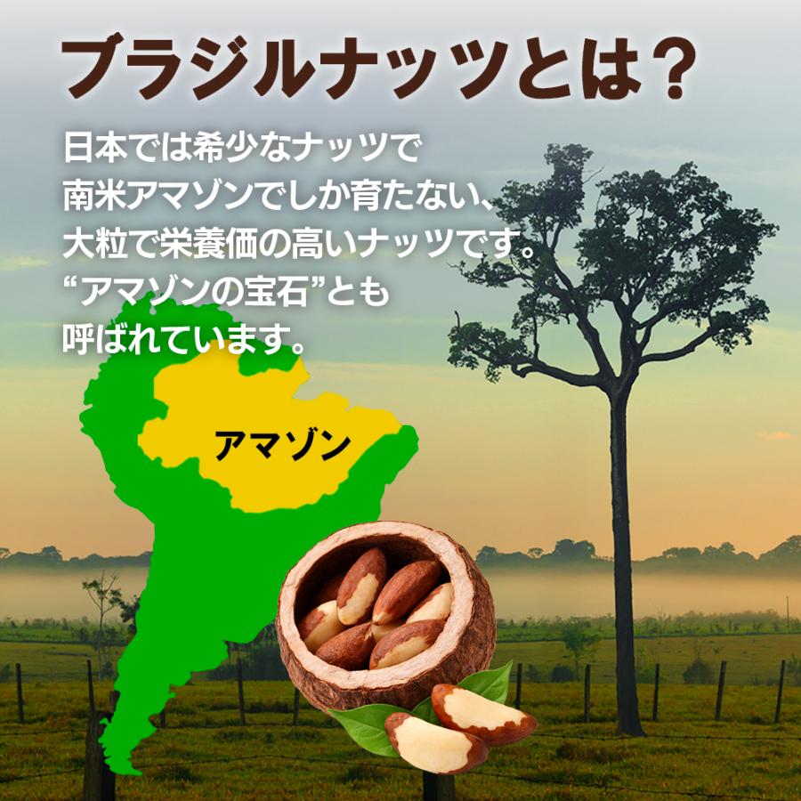 カリフォルニア堅果 生ブラジルナッツ 500g アマゾンの恵み 産地直輸入