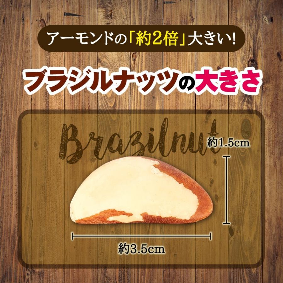 ブラジルナッツ 500g アマゾンのスーパーナッツ 産地直輸入 海外では有名な栄養価の高いナッツ！チャック付き袋 常備食｜calinuts｜05