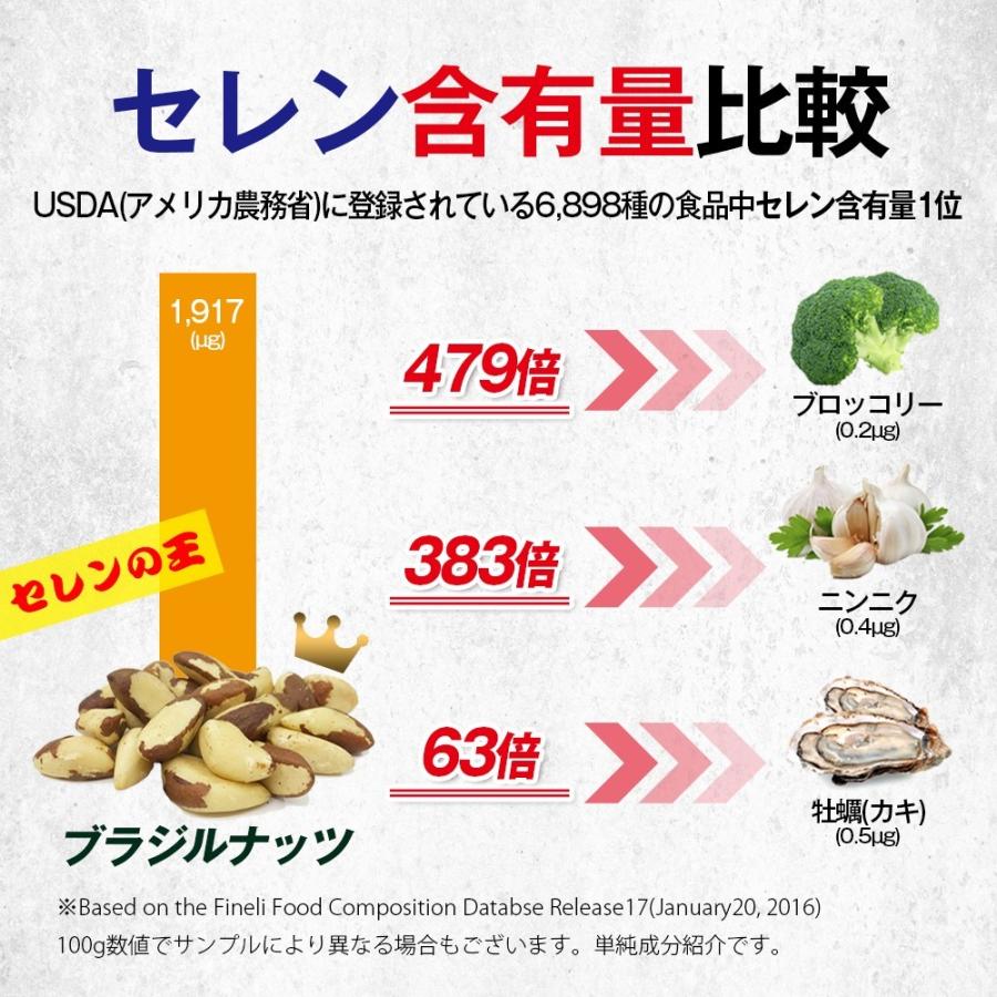 ブラジルナッツ 500g アマゾンのスーパーナッツ 産地直輸入 海外では有名な栄養価の高いナッツ！チャック付き袋 常備食 :bz-01:Daily  NutsFruits - 通販 - Yahoo!ショッピング