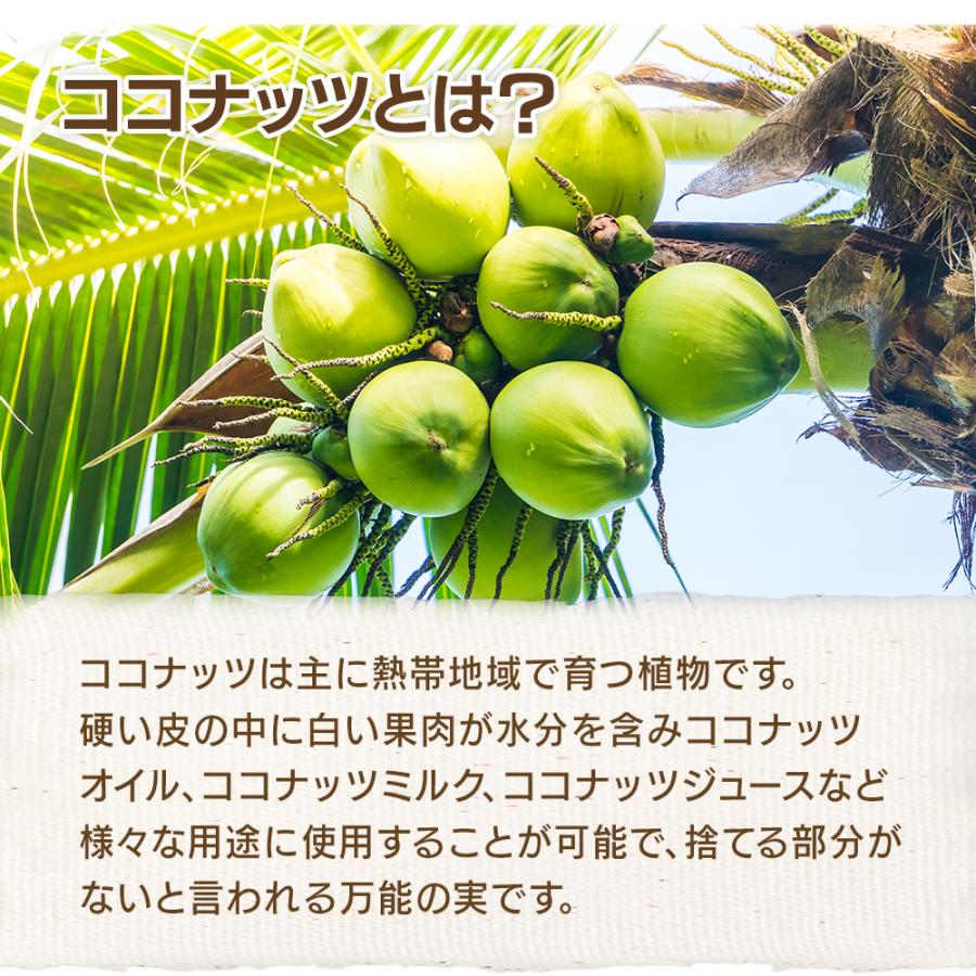 ゆみ　ベリー+ココナッツ-450円値引き 毎日を特別にする｜GRANY｜グラノーラ専門Bulk ショップ