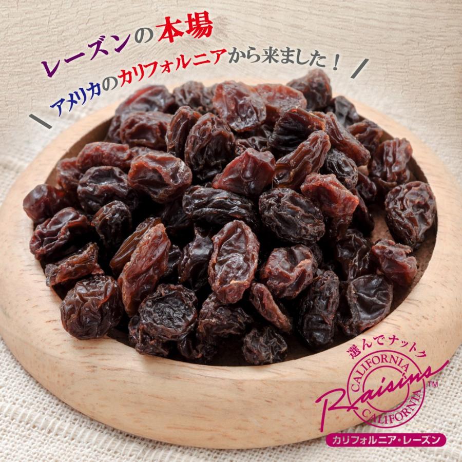 レーズン 750g カリフォルニア産 直輸入 香料保存料不使用 ドライフルーツ 干し葡萄 ほしぶどう チャック付き袋 非常食 Rs 01 Daily Nuts Fruits 通販 Yahoo ショッピング