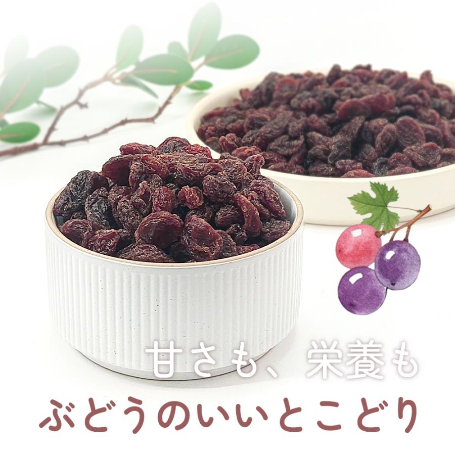 カリフォルニア堅果 レーズン 1kg カリフォルニア産 直輸入 香料保存料