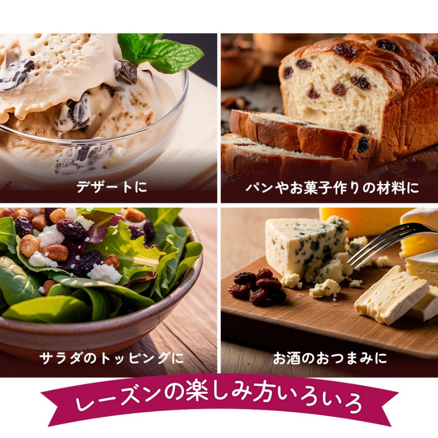 カリフォルニア堅果 レーズン 1kg カリフォルニア産 直輸入 香料保存料