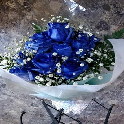 最大83%OFFクーポン SALE 88%OFF １０本のブルーローズ 青いバラ とカスミソウの花束のラメを付豪華な花束を贈り物におススメです shitacome.sakura.ne.jp shitacome.sakura.ne.jp