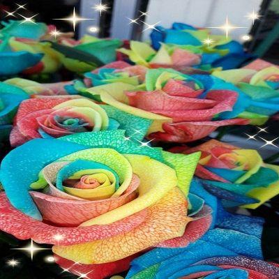 ☆5本以上〜のご注文で☆レインボーローズ☆1本￥８５０円！！お好きな本数をフラワーアレンジに（*^_^*）豪華です☆ |  | 03