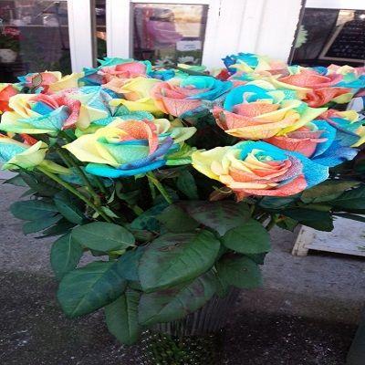 ☆5本以上〜のご注文で☆レインボーローズ☆1本￥８５０円！！お好きな本数をフラワーアレンジに（*^_^*）豪華です☆ |  | 04