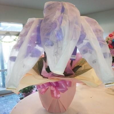 紫の胡蝶蘭を特別な日の贈り物に |  | 04