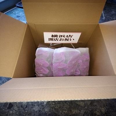 急な胡蝶蘭の贈り物時に種類・色などストアにすべてお任せとゆう方へおススメです、旬な胡蝶蘭を低価格でお届けします！ |  | 11