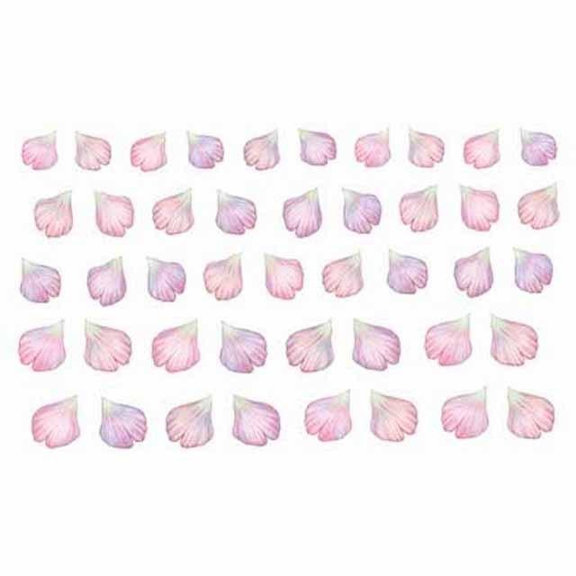 Amaily アメイリー ネイルシール No.1-26 エアリーフラワー |  | 01