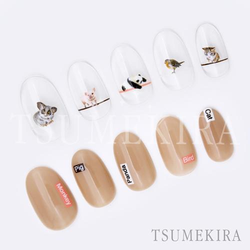動物キャラクター ネイルチップ 10個セット TSUMEKIRA ツメキラ Saki Chibaプロデュース2 Cute critters NN-SAK