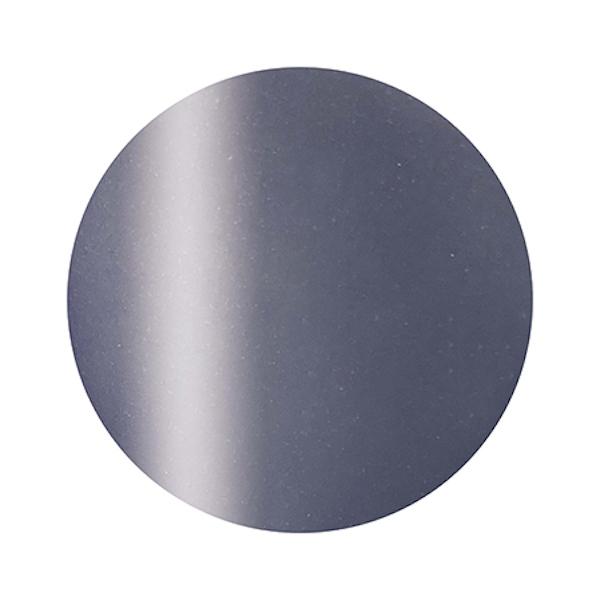 Calgel カルジェル カラーカルジェル プラス M09PU パールバイオレット 2.5g | 