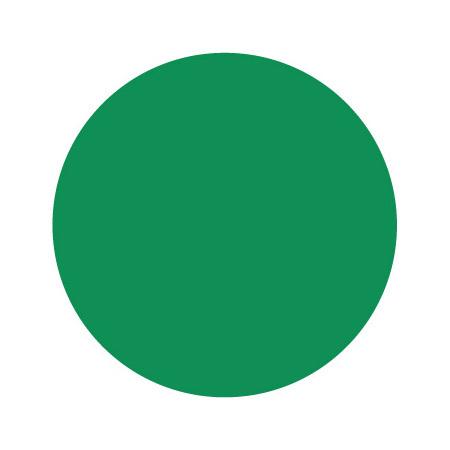 para polish パラポリッシュ カラージェル F052 ケリーグリーン