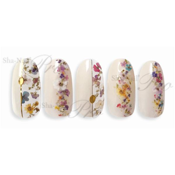 写ネイルPlus 【フレンチエス】 リアルプレスドフローレット |  | 03