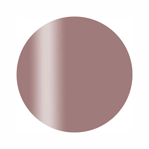 Calgel カルジェル カラージェル プラス CGS19PL ミスティローゼ 2.5g | 