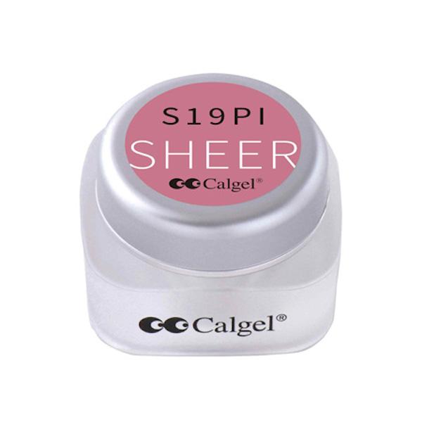 Calgel カルジェル カラージェル プラス CGS19PL ミスティローゼ 2.5g |  | 01