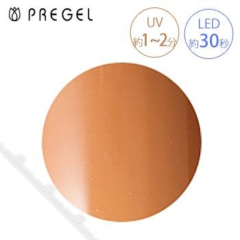 PREGEL プリジェル カラーEX スモーキーキャメルR PG-CE877 3g | 