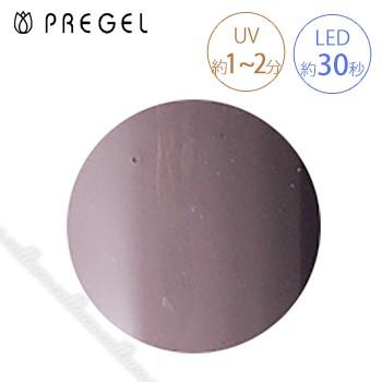 PREGEL プリジェル カラーEX スモーキーパープルR PG-CE878 3g | 