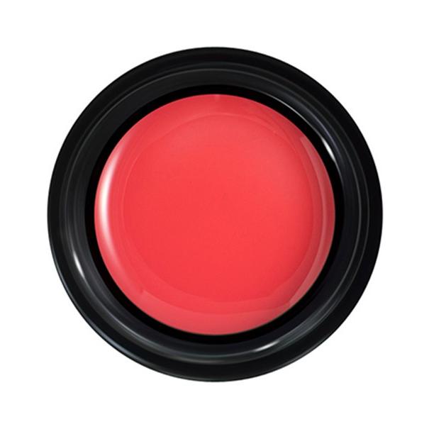 PREGEL プリジェル カラーEX ペールアップル PG-CE887 3g |  | 02