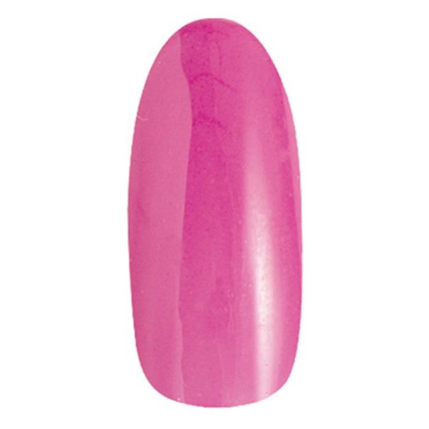 PREGEL プリジェル カラーEX ペールオーキッド PG-CE888 3g |  | 01