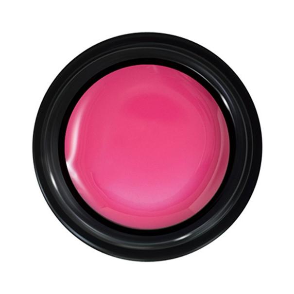 PREGEL プリジェル カラーEX ペールオーキッド PG-CE888 3g |  | 02