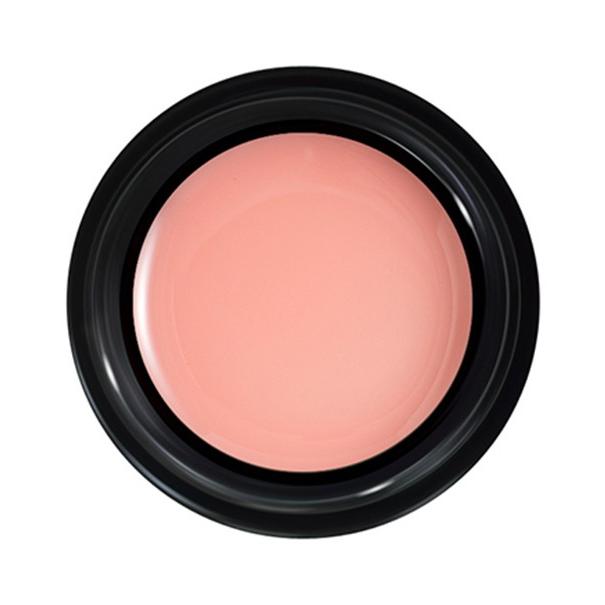 PREGEL プリジェル カラーEX ペールベージュ PG-CE889 3g |  | 02