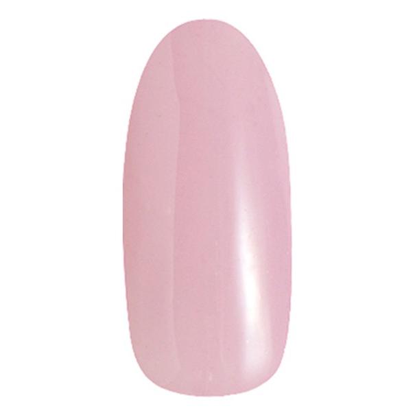 PREGEL プリジェル カラーEX ペールラベンダー PG-CE891 3g |  | 01