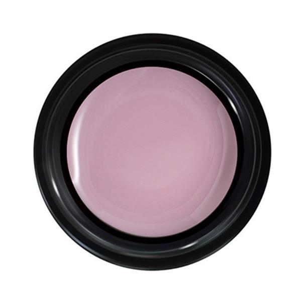 PREGEL プリジェル カラーEX ペールラベンダー PG-CE891 3g |  | 02