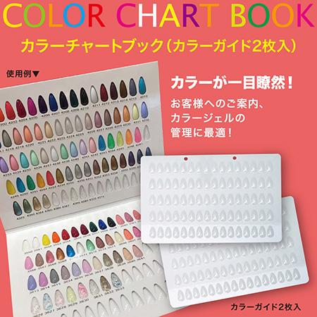 【メール便対応2個まで】NFS カラーチャートBOOK |  | 01