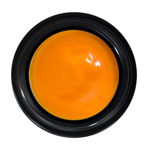 PREGEL プリジェル カラーEX パパイア PG-CE893 3g |  | 03